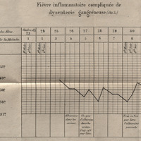 Fièvre inflammatoire compliquée de dysentrie gangréneuse