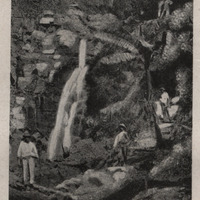 Fort-de-France . Cascade de la Rivière l'Or
