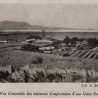 Vue d'ensemble des bâtiments d'exploitation d'une usine sucrière
