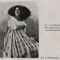 La chevelure d'une capresse aux poils proverbialement fins