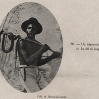 Un trigonocéphale de 2m.60 de long