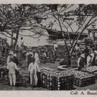 Fort-de-France. Place Bertin