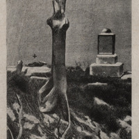 La Vierge des Marins de Saint-Pierre après la catastrophe du 8 mai 1902. La Statue est indiquée par…