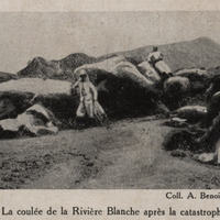 Saint-Pierre . La coulée de la Rivière Blanche après la catastrophe du 8 mai 1902