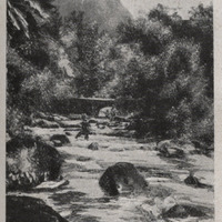 Fort-de-France . La Rivière-Blanche au Pont de L'Alma