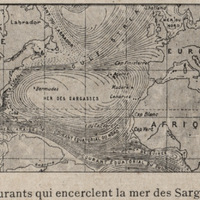 Les courants qui encerclent la mer des Sargasses
