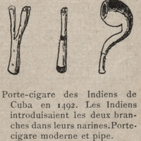 Porte-cigare des indiens de Cuba en 1492. Les indiens introduisaient les deux branches dans leurs…
