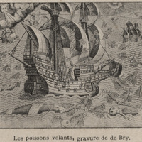 Les poissons volants