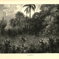Un marais