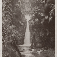 Paysages martiniquais . Une cascade des environs de Fort-de-France