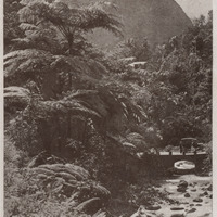 Le pont de l'Alma et le Piton du Carbet