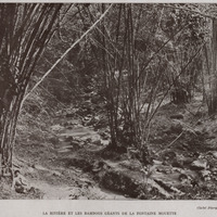 La rivière et les bambous de la Fontaine Mouette