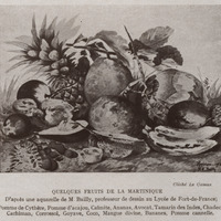 Quelques fruits de la Martinique : pomme de cythère, pomme d'acajou, caïmite, ananas, avocat,…