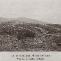 La savane des pétrifications, vue de la partie centrale
