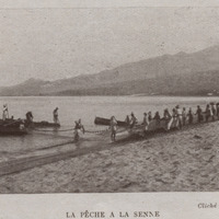 La pêche à la senne