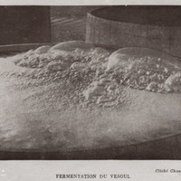 Fermentation du vesoul