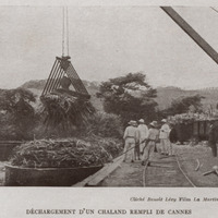 Déchargement d'un challand rempli de cannes (Film La Martinique)