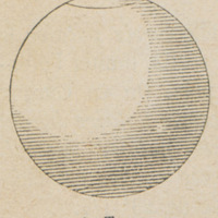 La terre
