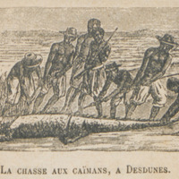 La chasse aux caïmans à Desdunes