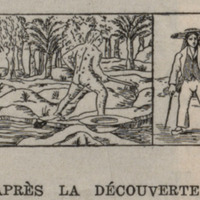 Après la découverte