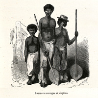 Rameurs sauvages et stupides