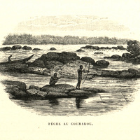 Pêche au coumarou