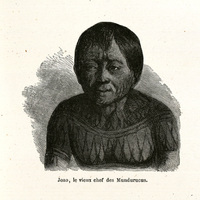 Jao, le vieux chef des mundurucus