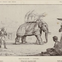 Inde française. Costumes. Eléphant caparaçonné