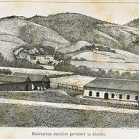 Habitation sucrière pendant la récolte
