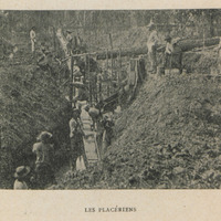 Les placériens