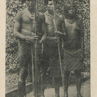 Piroguiers indigènes