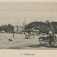 A Demerara