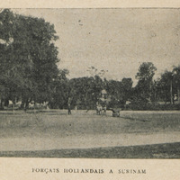 Forçats hollandais à Surinam