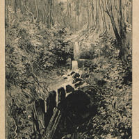 Le rorota