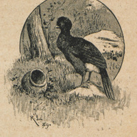 Maraie