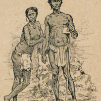Roucouyennes