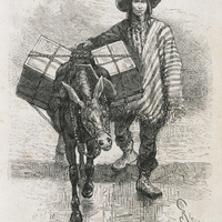 Type de péon