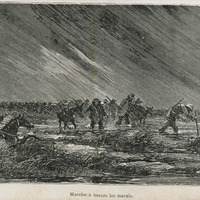 Marche à travers les marais