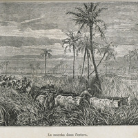 La marche dans l'estero