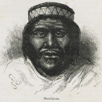 Mandipona