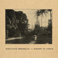 Habitation Perrinelle. Bosquet du jardin