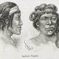 Indiens Tapuis