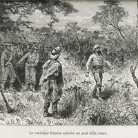 Le capitaine Payara attaché au pied d'un arbre