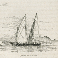 Carabo des Riffains