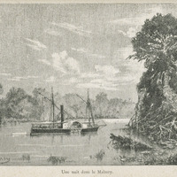 Une nuit dans le Mahury