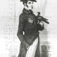 Baudin