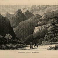 Morning walk, Dominica