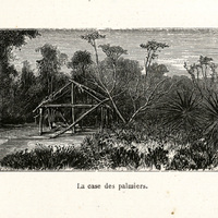 La case des palmiers