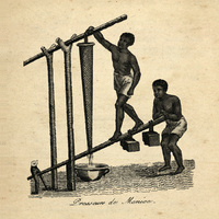 Presseurs de manioc