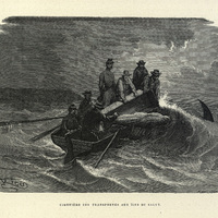 Cimetière des transportés aux Iles du Salut